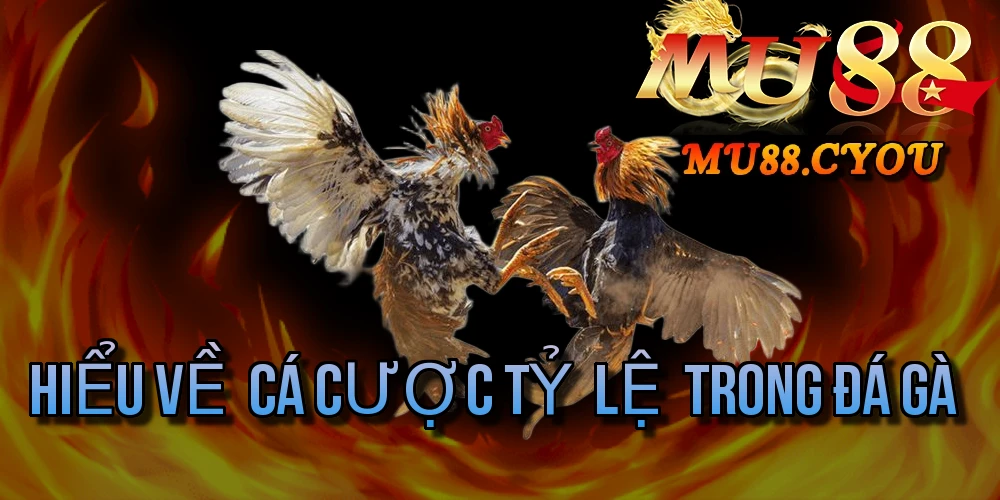 Hiểu Về Cá Cược Tỷ Lệ Trong Đá Gà